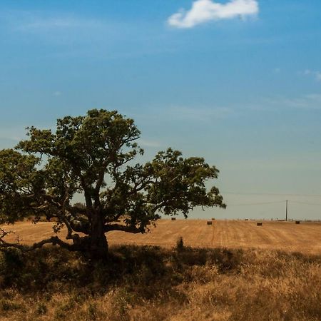 Penzion Vales Do Alentejo Bicos Exteriér fotografie