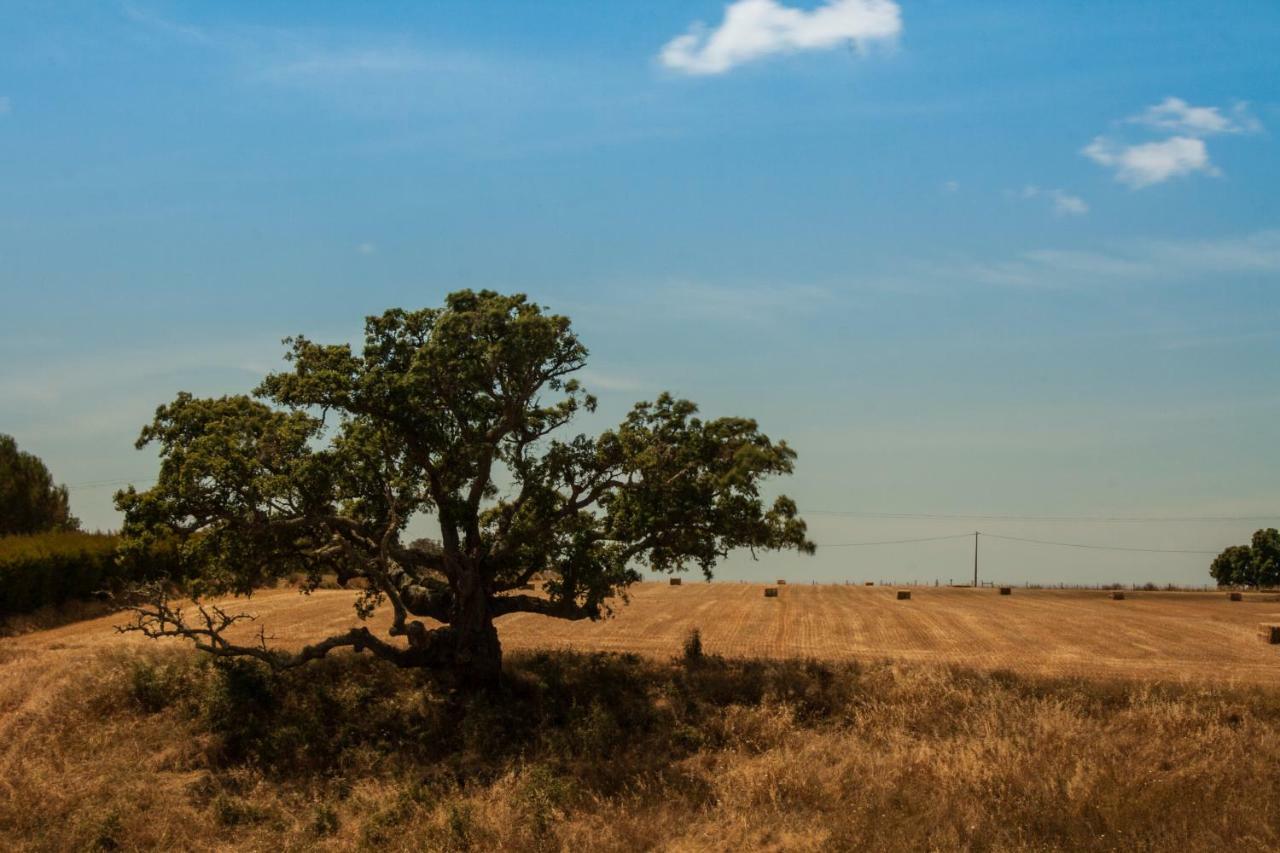 Penzion Vales Do Alentejo Bicos Exteriér fotografie